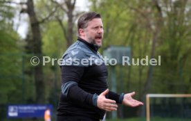 U 17 Karlsruher SC - U17 SC Freiburg