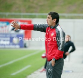 FSV Zwickau - VfB Stuttgart