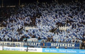 23.02.25 TSG 1899 Hoffenheim - VfB Stuttgart