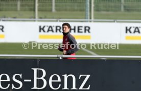 VfB Stuttgart Training
