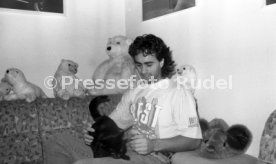 15.12.90 VfB Gaudino Katze Mini