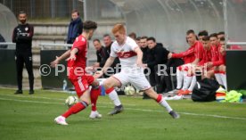 U19 VfB Stuttgart - U17 FC Bayern M&uuml;nchen