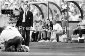 14.06.88 Deutschland - D&auml;nemark