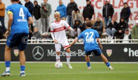 14.09.24 U17 VfB Stuttgart - U17 TSG 1899 Hoffenheim