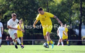 23.08.26 TSV Ph&ouml;nix Steinsfurt - SV Tiefenbach