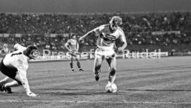 VfB Stuttgart - 1. FC K&ouml;ln
