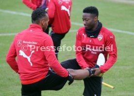 VfB Stuttgart Training