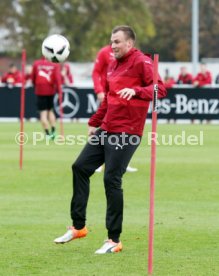 VfB Stuttgart Training
