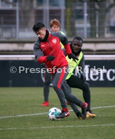 VfB Stuttgart Training
