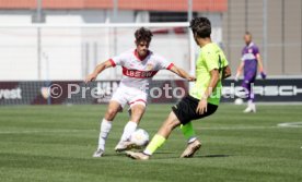 24.08.24 U19 VfB Stuttgart - U19 Stuttgarter Kickers