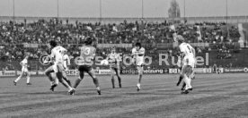 VfB Stuttgart - 1. FC K&ouml;ln