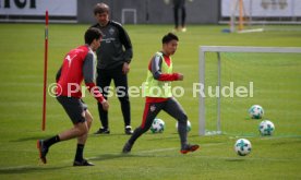 VfB Stuttgart Training