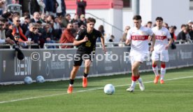 08.03.26 U19 VfB Stuttgart - U19 1. FC K&ouml;ln