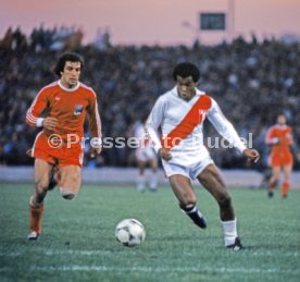 FIFA WM 1978