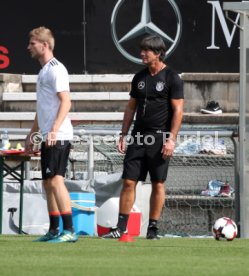DFB Deutschland Training in Stuttgart