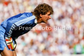 14.06.88 Deutschland - D&auml;nemark