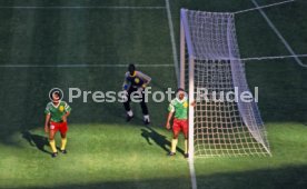 WM 1990 Argentinien - Kamerun