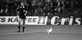 27.09.89 Feyenoord Rotterdam - VfB Stuttgart
