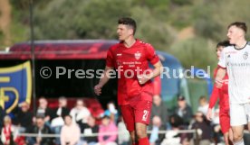 VfB Stuttgart - FC Basel