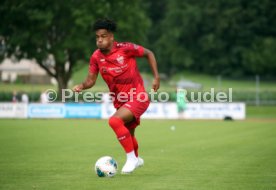 FC Z&uuml;rich - VfB Stuttgart