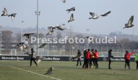 VfB Stuttgart Training