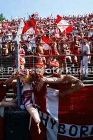 14.06.88 Deutschland - D&auml;nemark