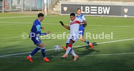 05.01.25 VfB Stuttgart - FC Luzern