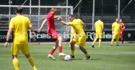 18.07.24 VfB Stuttgart Mitarbeiter Saison Kick-Off