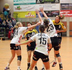 TV Nellingen