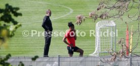 VfB Stuttgart Training