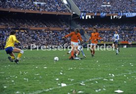 FIFA WM 1978