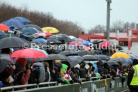 02.01.25 VfB Stuttgart Training