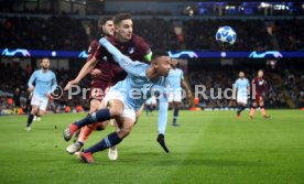 Manchester City - TSG 1899 Hoffenheim
