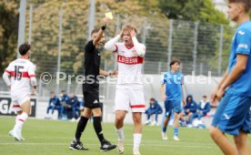 14.09.24 U17 VfB Stuttgart - U17 TSG 1899 Hoffenheim