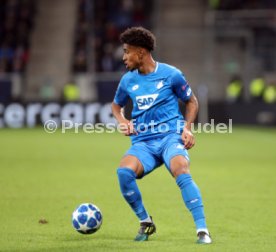 TSG 1899 Hoffenheim - Olympique Lyon