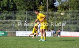 23.08.26 TSV Ph&ouml;nix Steinsfurt - SV Tiefenbach