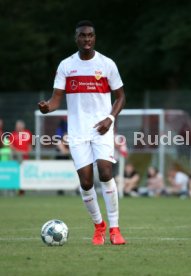 TSG Backnang - VfB Stuttgart