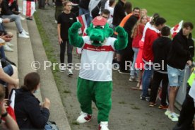 27.06.22 VfB Stuttgart Training
