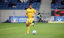 08.12.24 TSG 1899 Hoffenheim - SC Freiburg
