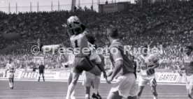 05.06.1993 VfB Stuttgart - SV Werder Bremen