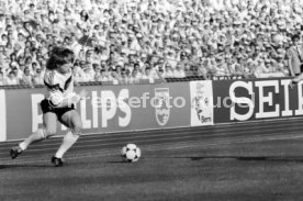 14.06.88 Deutschland - D&auml;nemark