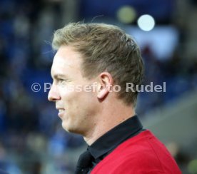 TSG 1899 Hoffenheim - Manchester City