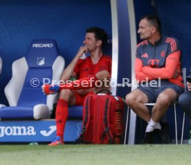 17.05.25 TSG 1899 Hoffenheim - FC Bayern München