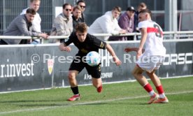 08.03.26 U19 VfB Stuttgart - U19 1. FC K&ouml;ln