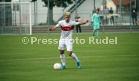 VfB Stuttgart II - SV Linx