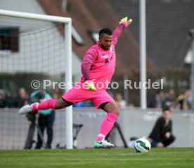 Tim Wiese (SSV Dillingen)