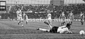 VfB Stuttgart - 1. FC K&ouml;ln