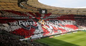 VfB Stuttgart - SG Dynamo Dresden