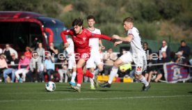 VfB Stuttgart - FC Basel