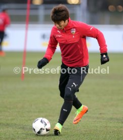 VfB Stuttgart Training